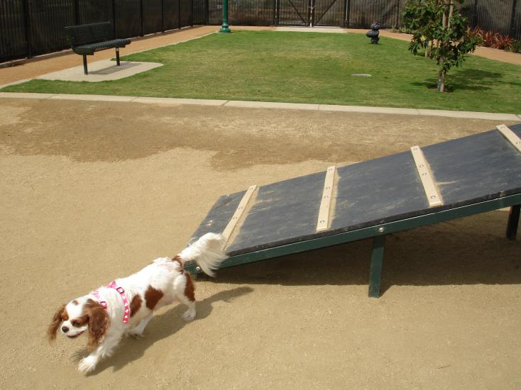 Oxnard Dog Park