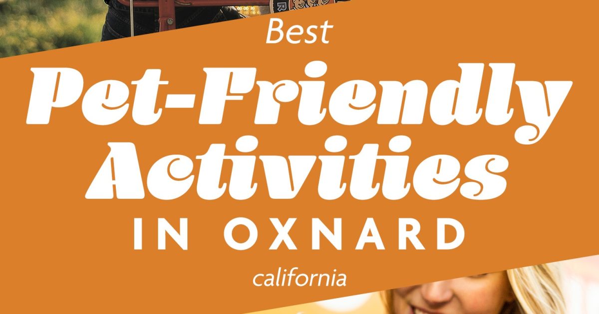 Pets Love Oxnard and These FurFriendly Activities Visit Oxnard