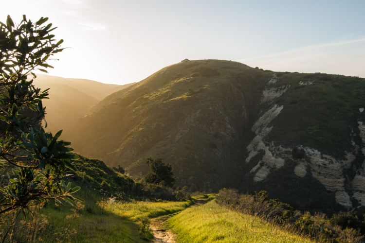 Channel Islands