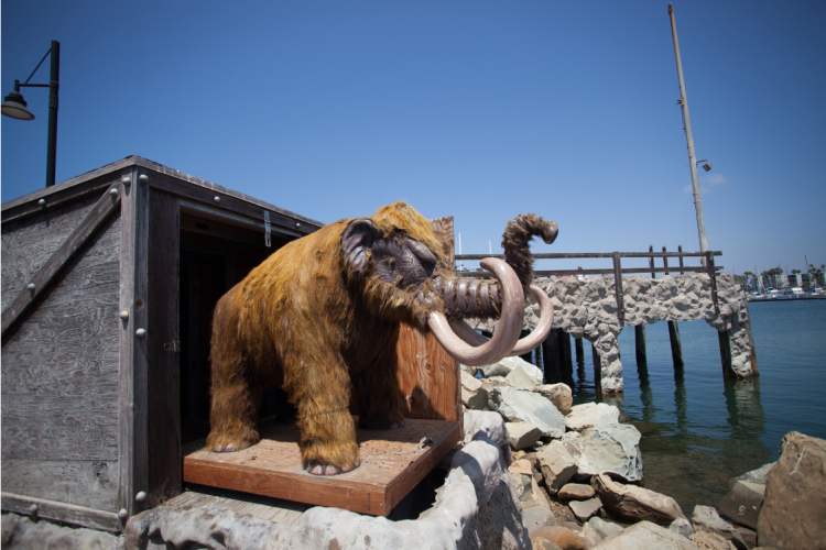 Channel Islands Kayak Center