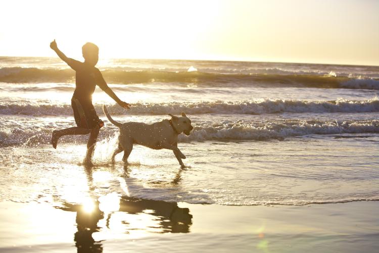 Oxnard Dog Friendly Beach