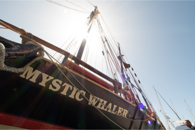 Mystic Whaler Channel Islands Harbor