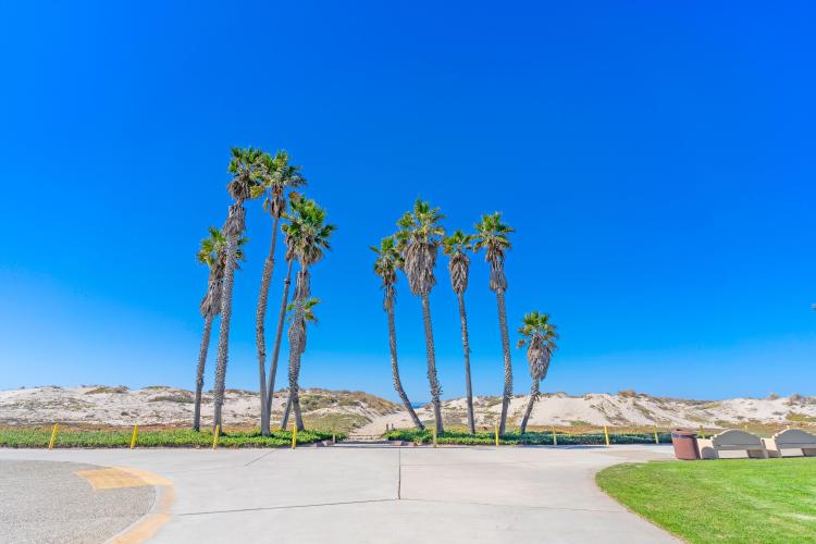 Oxnard beach park ground