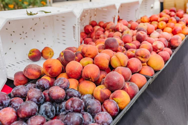 farmers market fruit