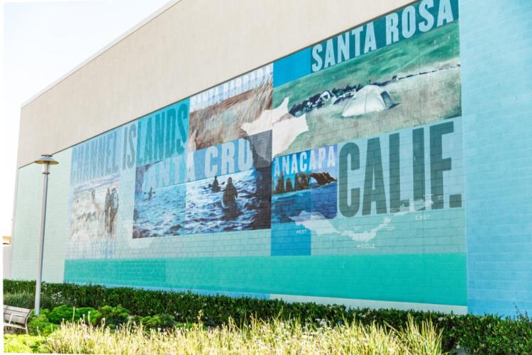 channel islands art the collection