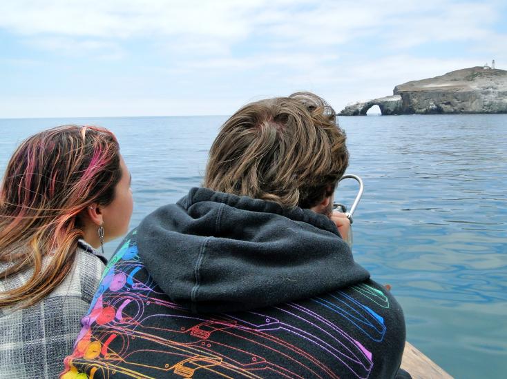 whale watching channel islands