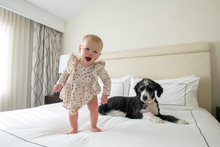 Oxnard Pet Friendly Hotel