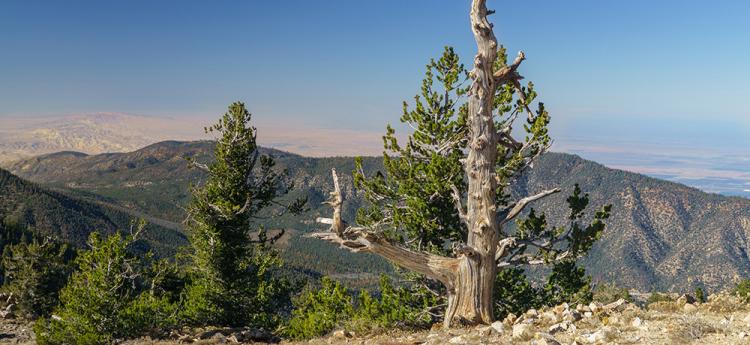 places to go rock climbing