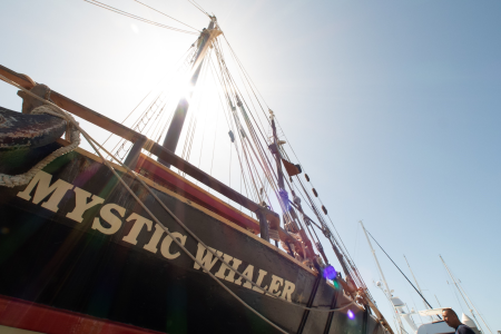 central coast adventures whale watching