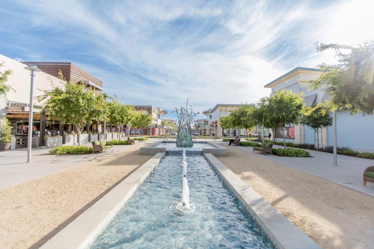 things to do at the collection