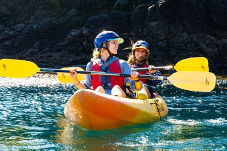 whale watching expeditions