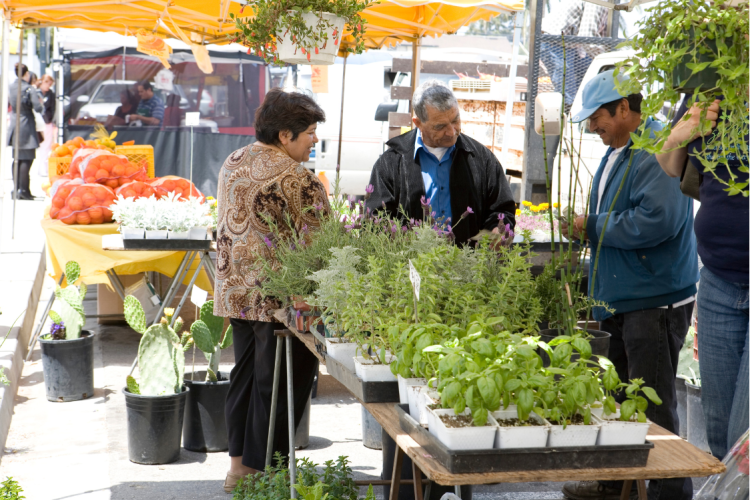 Farmers Market Oxnard