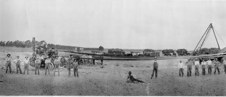 Rice Road in Oxnard and Maulhardt's crew circa 1910