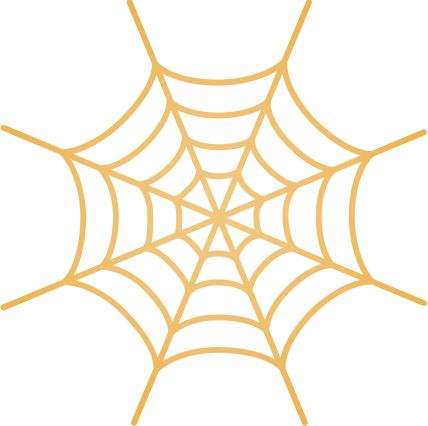 Decorative spider web